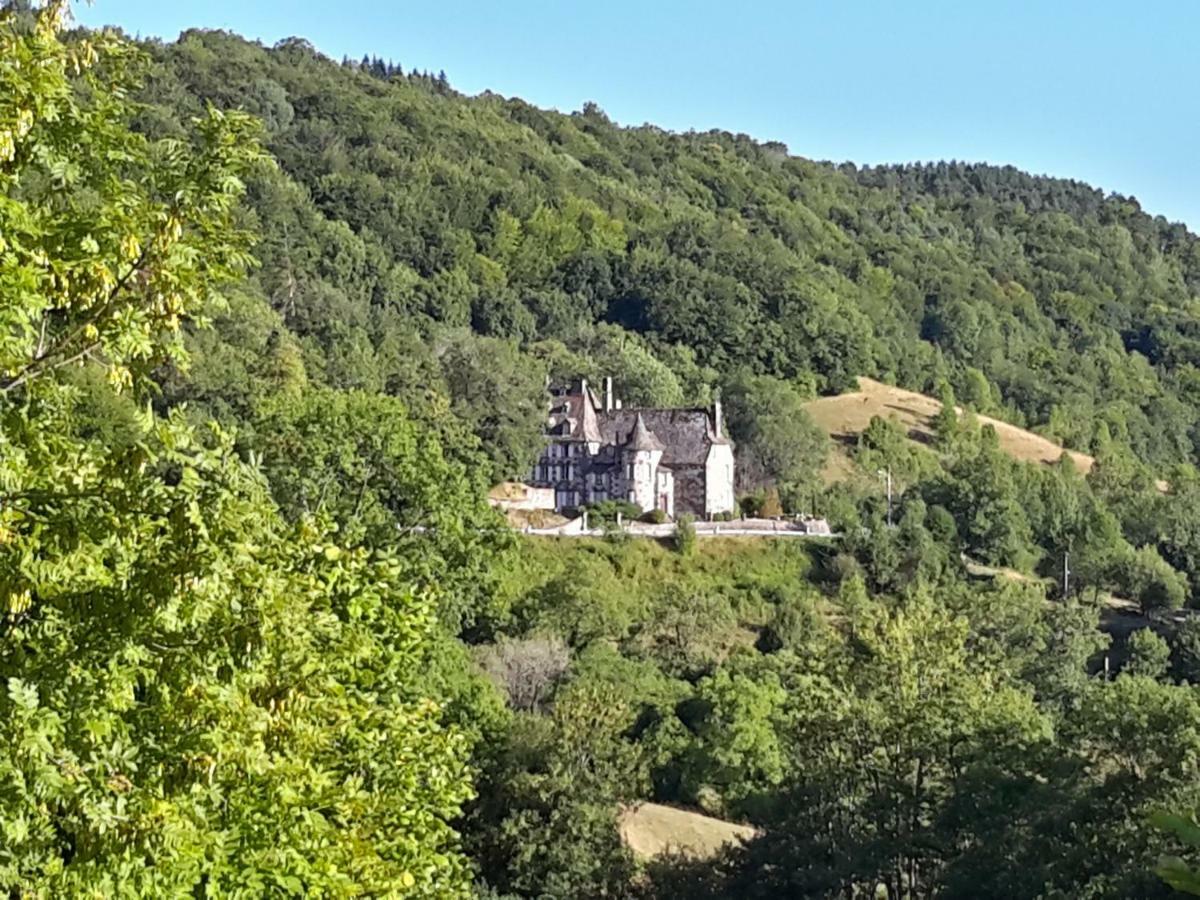Chateau De Courbelimagne, Raulhac Exterior foto